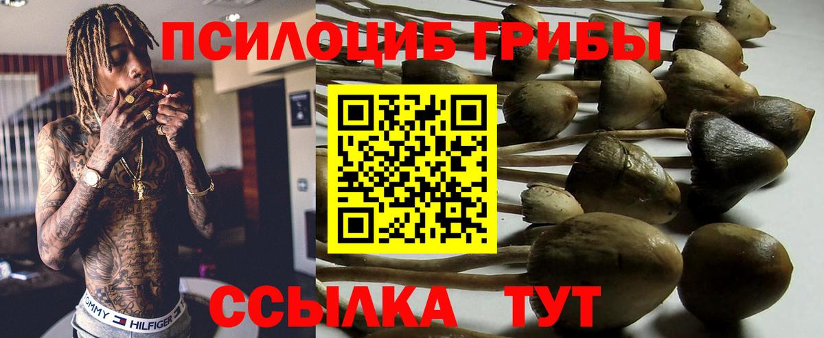 сколько стоит  Вход с VPN  Нарткала  Галлюциногенные грибы GOLDEN TEACHER 
